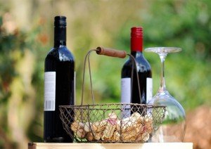 Wine bottles in France