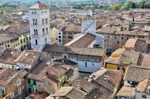 Lucca rooftops, Tuscany