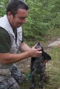 Truffle hunting dog in Norcia Italy
