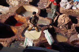 A tannery in Fes
