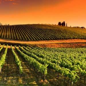 Sunset over the vineyards of Chianti during our wine tours Tuscany Italy.