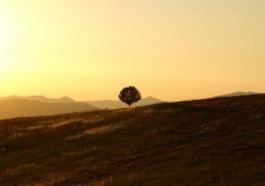 The countryside of Umbria