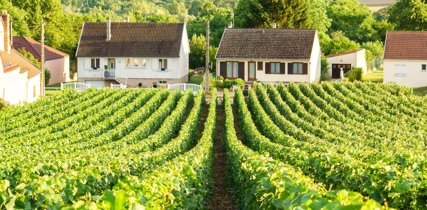 wine-tastings-tours-and-cooking-vacations-in-champagne-france-the