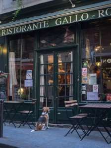 Dining in Paris on our Paris culinary tours.