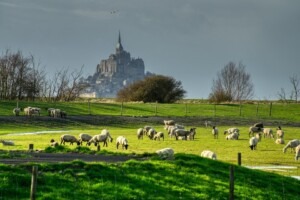 The beautiful Mont Saint Michel and the pastures of Normandy.